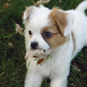 Meet your Posher, Dianne